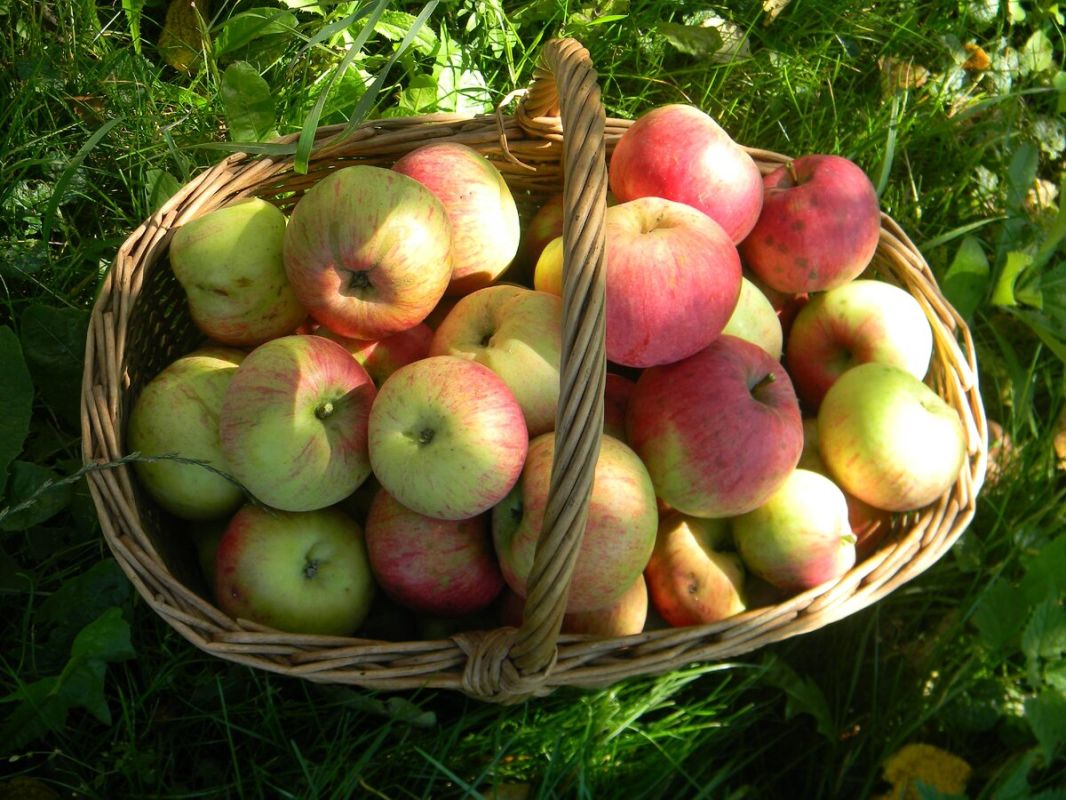 ������ ���������: ��� ������� ������ �� ����� �� ����