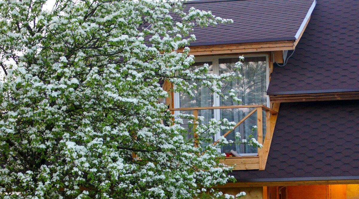 ������� ������� ����� �� �������: ��� �������� ������ � �������� �������