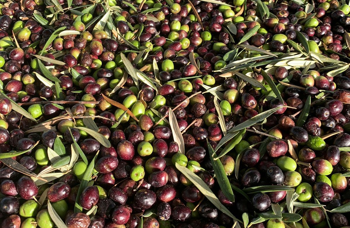 ������� ������ � ������ �������: ��� ����� ����� � ���������