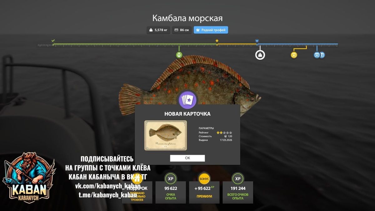 ������� ����������� ����: ������� ������� �������� �������