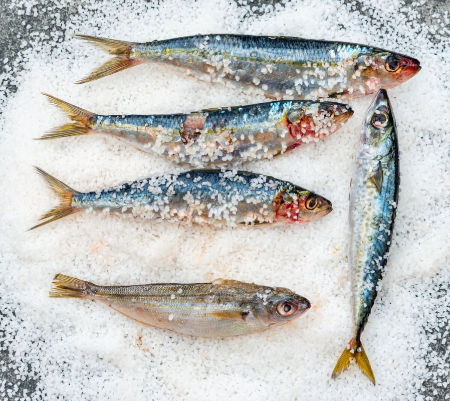 ��� ��������� ����������� ��������: ��������� �����������