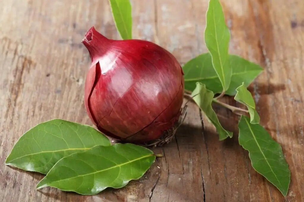 ������� ������������� ��������� ����: ������ � ������������