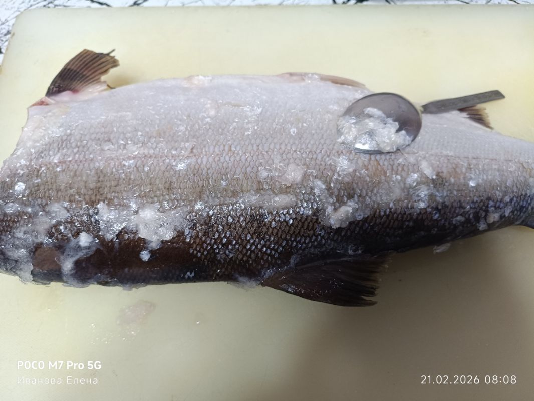 ������� ����: ������� ���������� �������