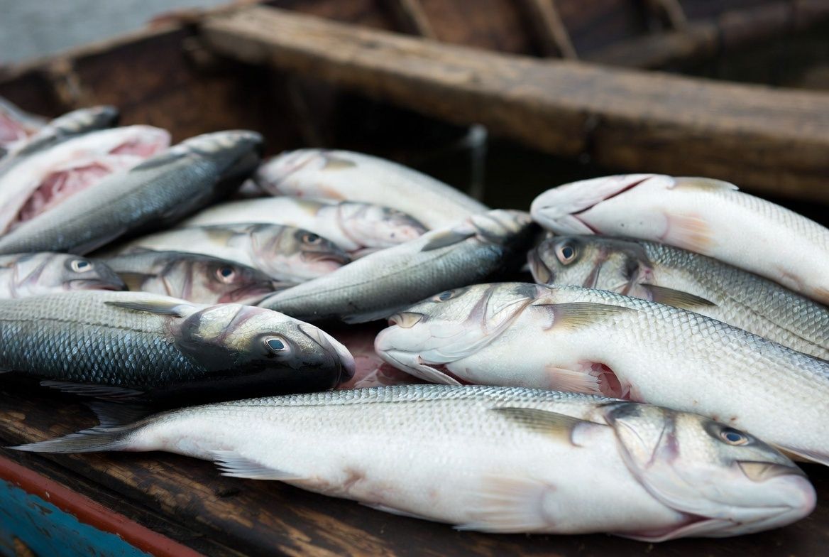 ������ ����������� ������������� ������ ����������� ����������� �������� ����