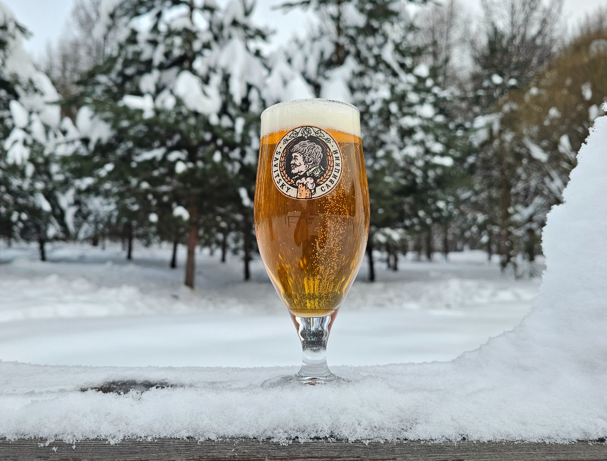 Лучшие пивные находки февраля 2026 года