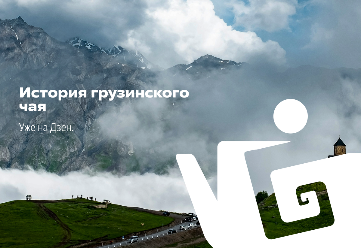 Грузинский чай: путь к возрождению и новой жизни