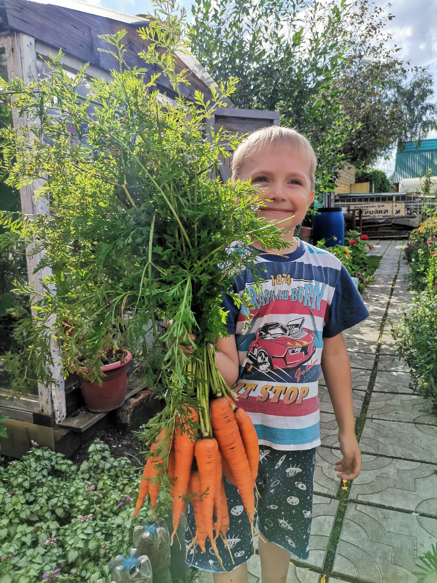 Необычный день моркови: чему нас учит оранжевый корнеплод?