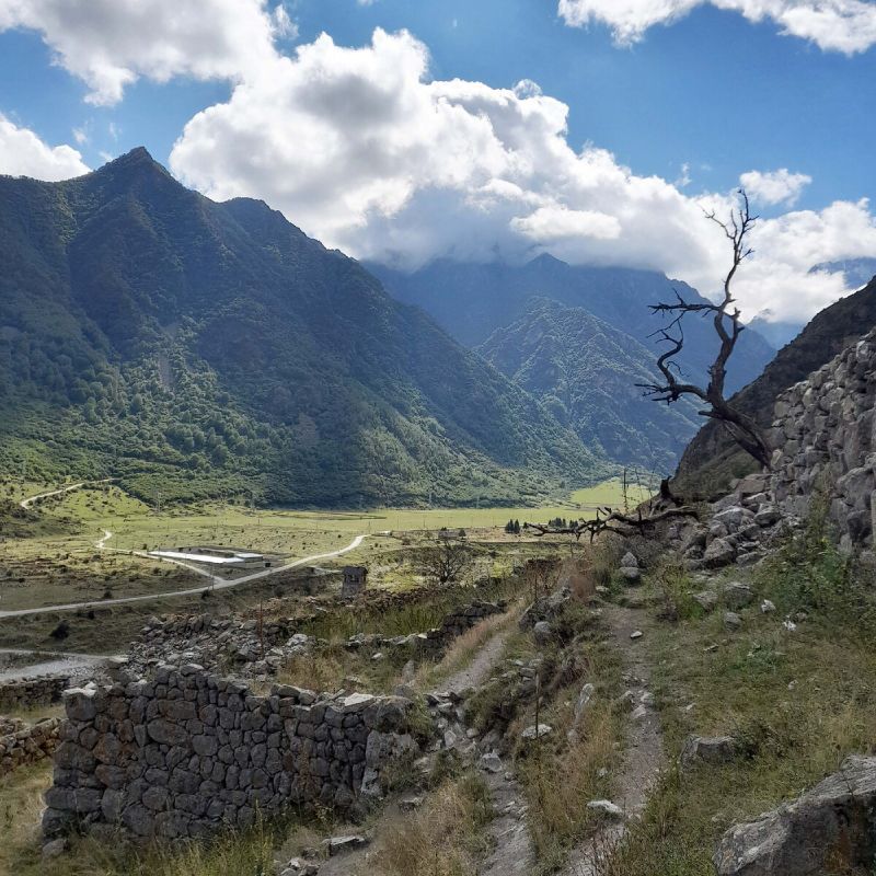 ��� ����: ��������� ����������� ���������� �����