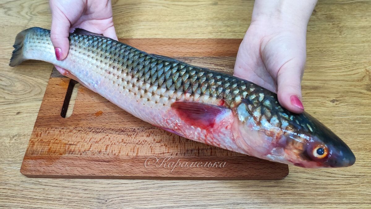 ��������� ������ � �����: ������� � ������� ���� ��� ���� �����