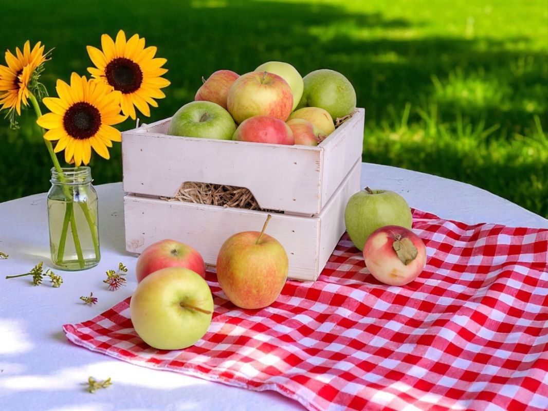 �������� ����: ��� �������� �������� ������ � ����������� �������