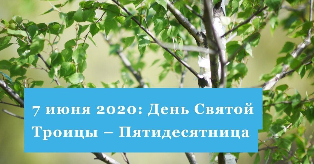 ������: ��������, ������� ���������� ��������