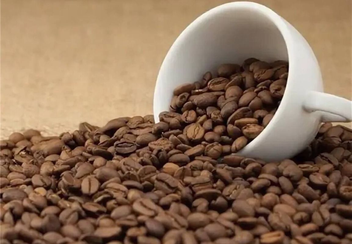 �������� ��� � ������: ������ ����������� �� ����� ������