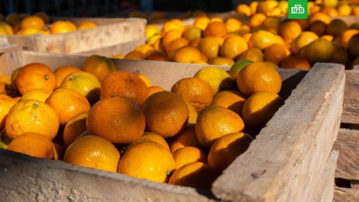 ���� �� ��������� ����������� �����, �������� ��������� � ����������