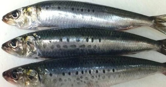 �������: �������������� �������� ����������