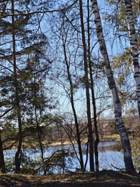 ������ ���������� ������ �� ����� ��������, ��� �������