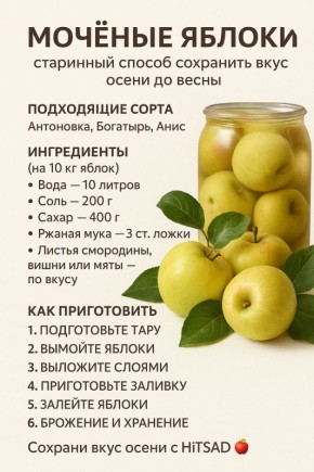 ������� ������: �������� ������ ������ � ������� ������������� �������