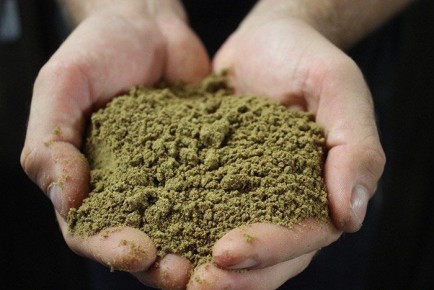 ������� ������������ ������ ���� � ����: ������ 2025 ����