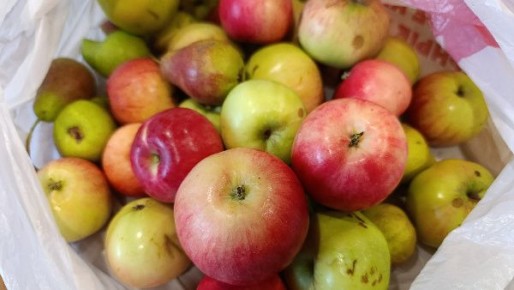 ������� ������������� �������� �����: ��� ��������� ������� �� �����