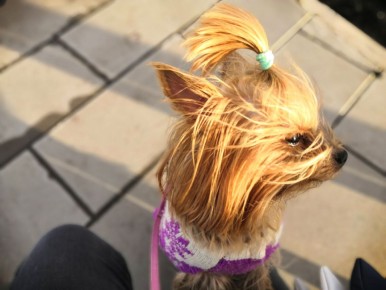 ������ ������ ��������� ����� ���������� �������: ������ �������