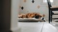 ��� ������ � �����: ��������� � ������� ����������