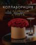 AzaliaNow � �����: ����� ����������� ��� ������ ������