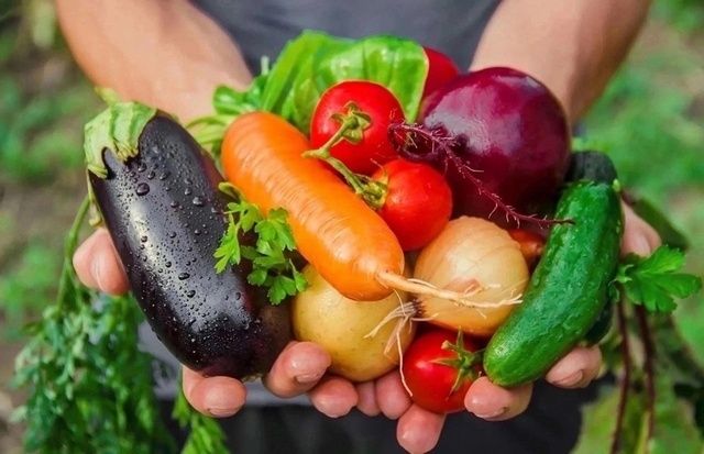 Секреты быстрого и вкусного приготовления малосольных огурцов